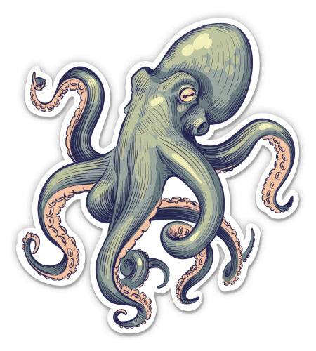Octopus 1