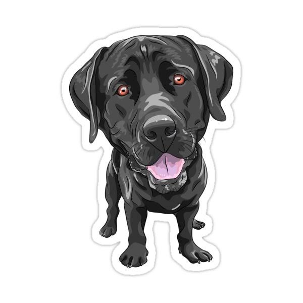 Black Lab 2