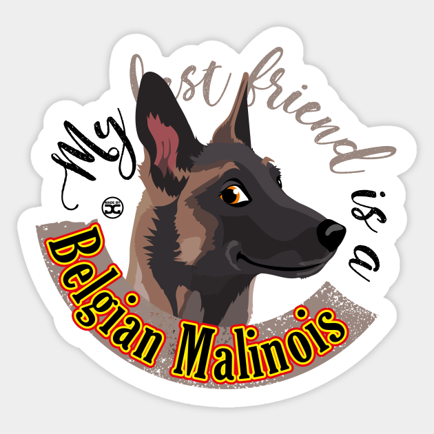 Belgian Malinois