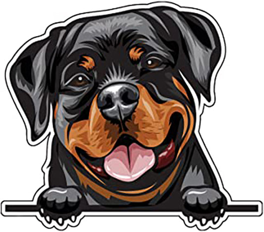 Rottweiler