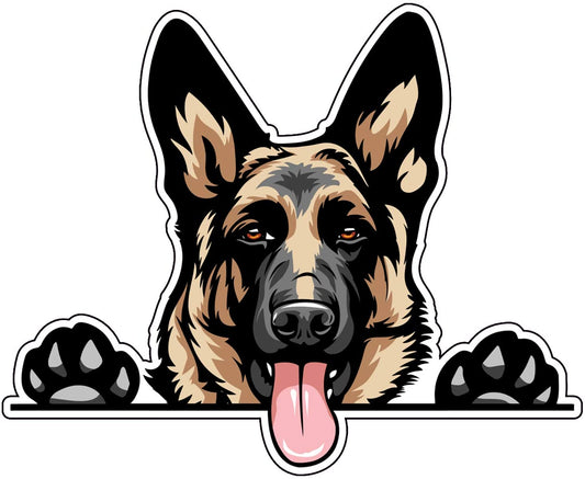 German Shephard