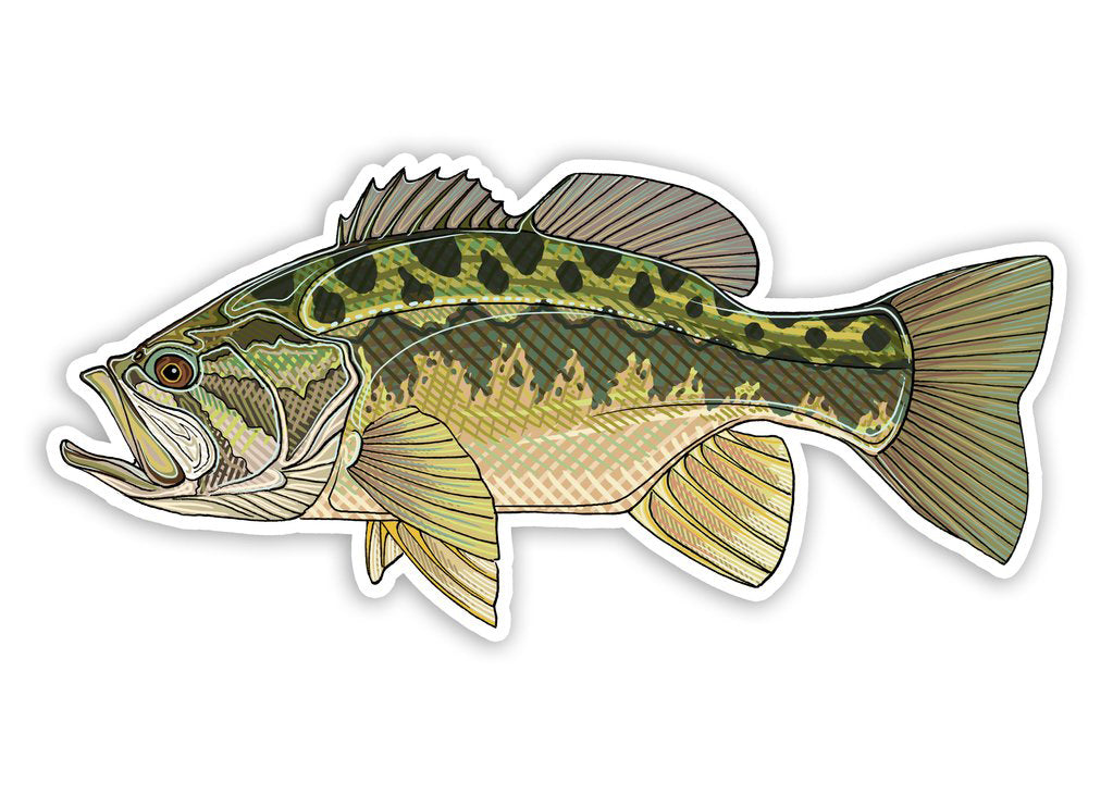 Fish 8