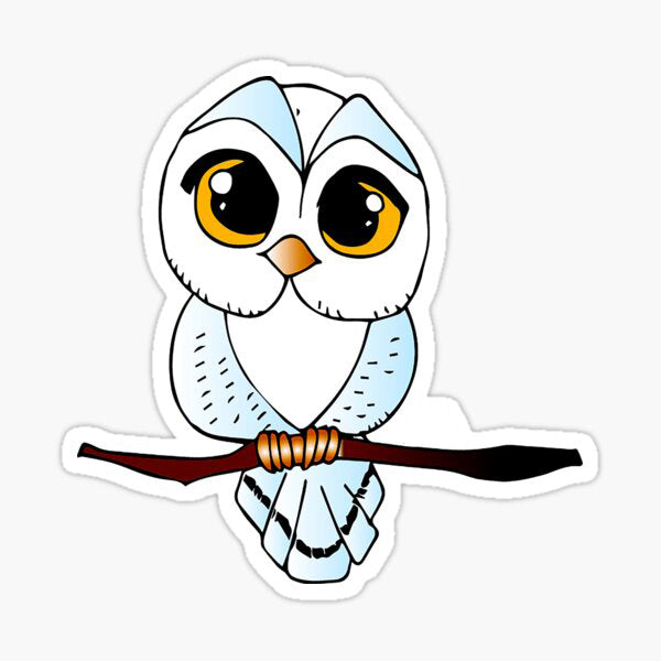 Owl 6